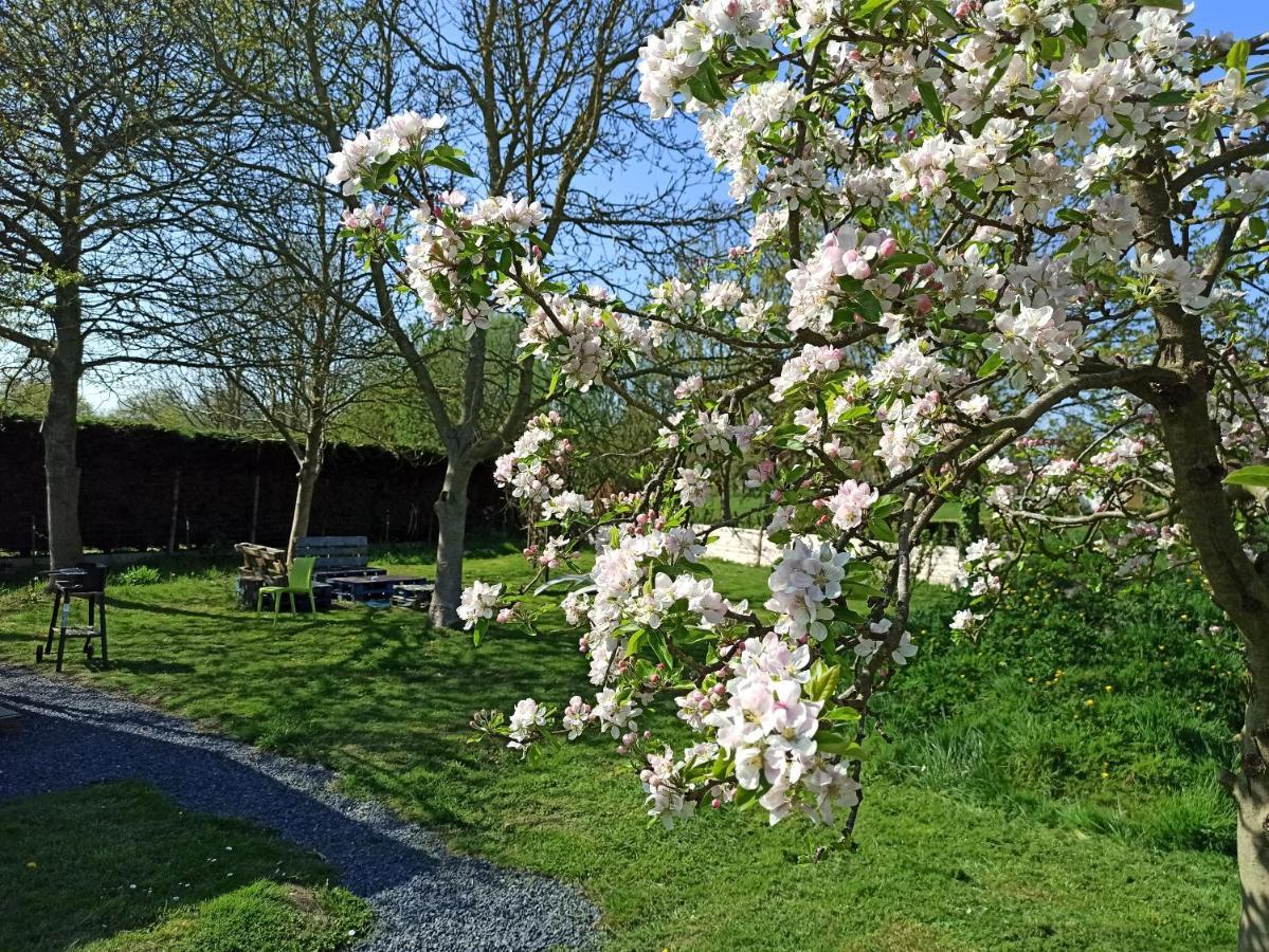 Gite Les Chalets Du Fliers Verton Meubles De Tourisme Classes 2 Etoiles Berck ภายนอก รูปภาพ