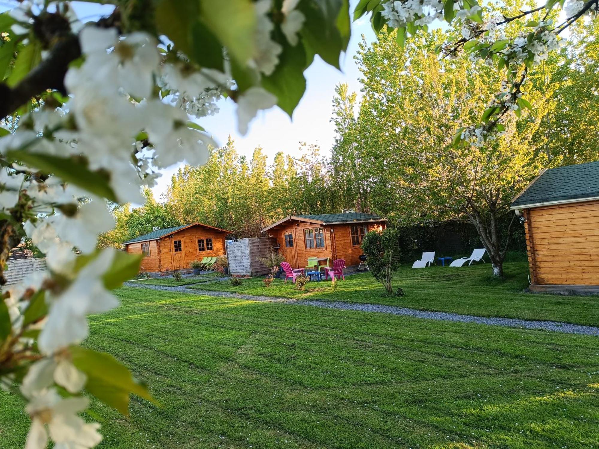 Gite Les Chalets Du Fliers Verton Meubles De Tourisme Classes 2 Etoiles Berck ห้อง รูปภาพ